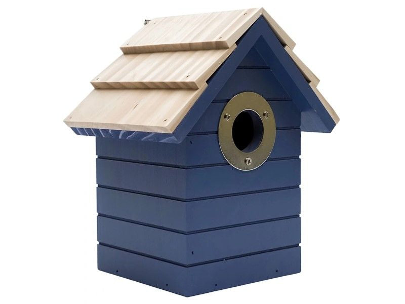 Beach Hut bird nest