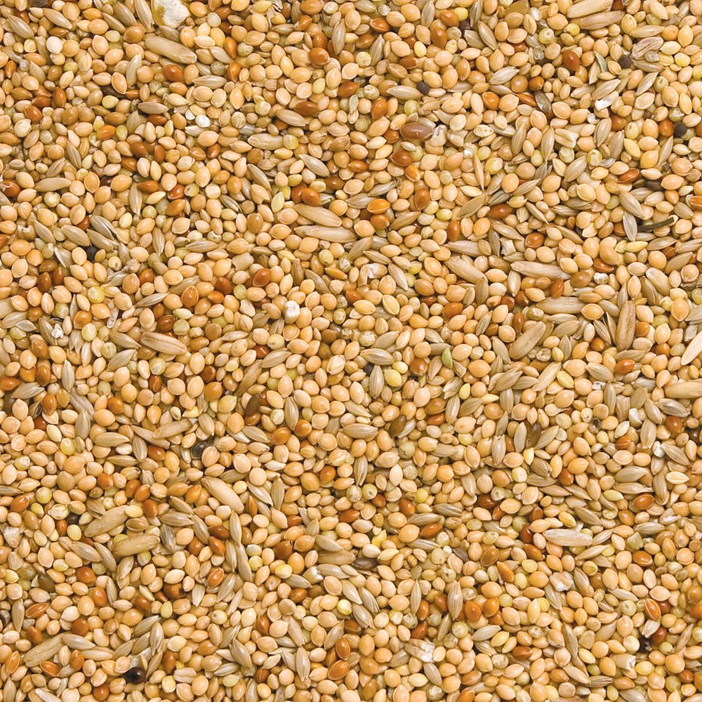 Budgie Seed 2kg
