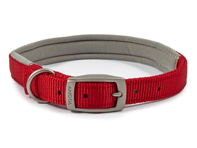 Viva Nylon Padded Collar Size 4 -7