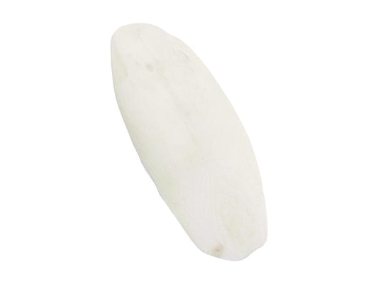 CUTTLEFISH LOOSE 1 PC