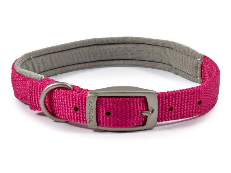 Viva Nylon Padded Collar Size 4 -7