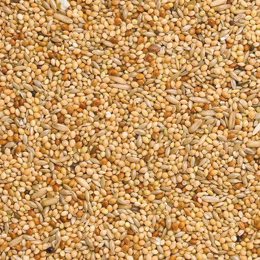 Budgie Seed 2kg