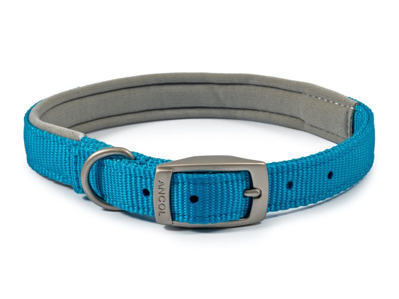 Viva Nylon Padded Collar Size 4 -7
